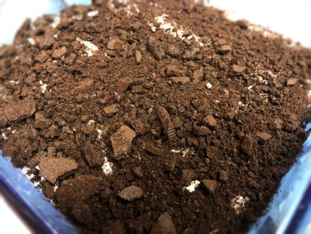 layer of oreo crumbs