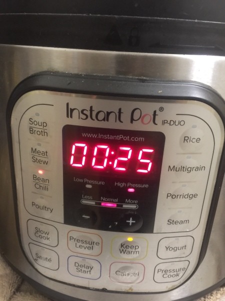 Instant Pot controls