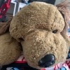 Identifying a Stuffed Toy Dog - light brown stuffed dog with large black plastic nose