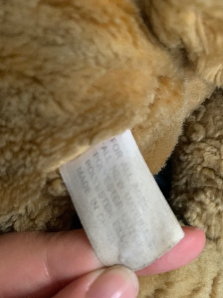 Identifying a Stuffed Toy Dog