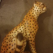 Identifying Wild Cat Figurines - cheetah