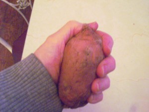 A sweet potato to use as a hand warmer.