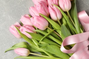 A bouquet of spring tulips.