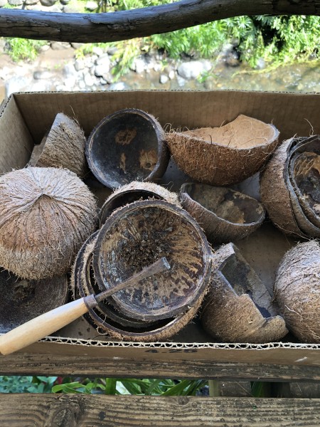 Bamboo & Coconut Shell Planters - clean the shell halves