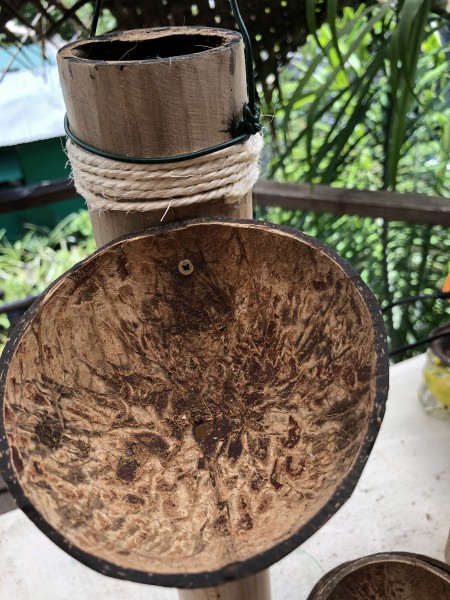 Bamboo & Coconut Shell Planters - drill 2 holes in the coconut shell and screw to the bamboo