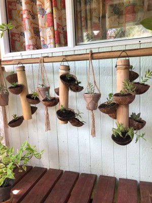 Bamboo & Coconut Shell Planters - planters hanging outside of a house