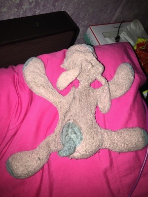 Identifying a Stuffed Toy - a pink and blue stuffed, floppy dog