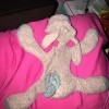 Identifying a Stuffed Toy - a pink and blue stuffed, floppy dog