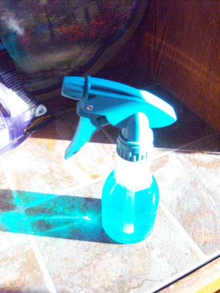 Spray bottle with cleaner