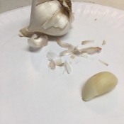 A bulb of fresh garlic with one peeled clove.