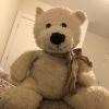Identifying a Stuffed Toy - white stuffed bear