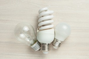 A collection of different types of light bulbs.