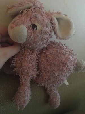 Identifying and Finding a Stuffed Toy Rabbit - curly furred dark pink bunny