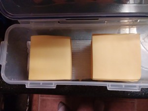 Sliced cheese in a plastic container.