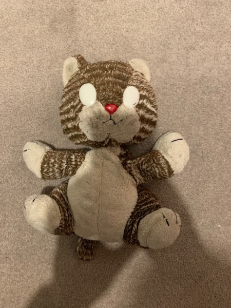 Identifying a Stuffed Cat Toy