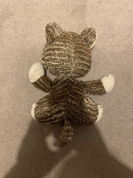 Identifying a Stuffed Cat Toy
