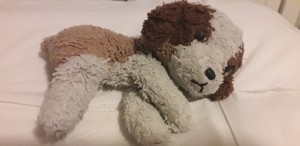 Identifying a Stuffed Dog - tri-colored stuffed puppy