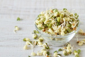 A pile of partially sprouted mung beans.