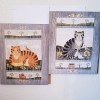 Two cat pictures in frames.