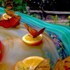Butterflies Galore! - butterflies on orange slices in a shallow outdoor water filled basin