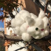 white cotton ball kitty in a tree