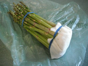 Asparagus stored with a wet paper towel and a rubber band.