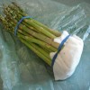 Asparagus stored with a wet paper towel and a rubber band.