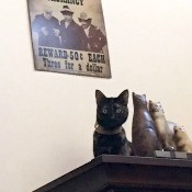 Will the Real Ellie Please Purr! - torti cat next to figurine of cats