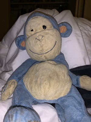 Identifying a Stuffed Toy - old blue and white monkey, missing one eye