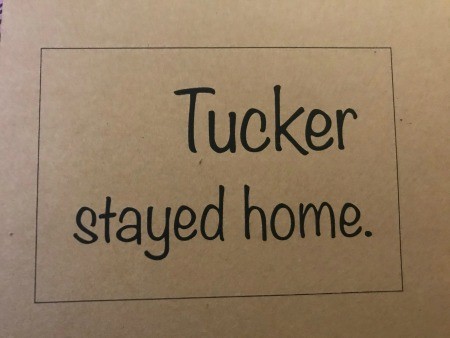 Felt Carrot Garland and Paper Carrot Sign - print out of the sign "Tucker stayed home."