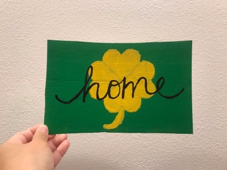 St. Patrick's Day Theme Hanging Wall Sign - g