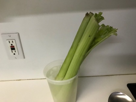 Celery in a cup of water.