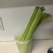 Celery in a cup of water.