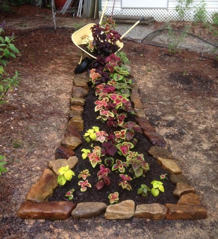 Spilling Wheelbarrow Garden Planter - rock lined narrow planter with a tipped yellow wheelbarrow cascading soil and coleus into the coleus planted bed