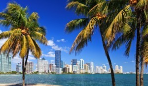 A skyline view of Miami, FL.