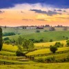 A scenic view of farmland in Kentucky.