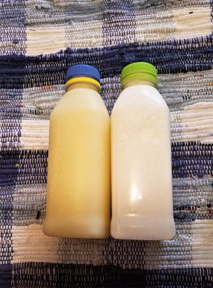 Yes Virginia, You Can Freeze Milk - bottles of frozen and thawed milk