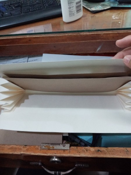 Budget Organizer - insert envelops into the folds