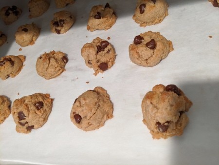 Bite Size Chocolate Chip Cookies