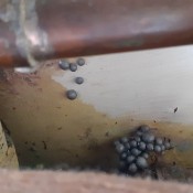 Identifying Weird Grey Balls Under the Boiler