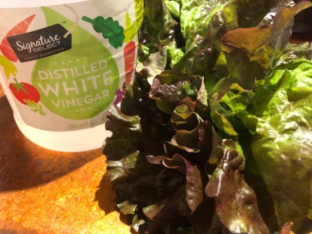 A head of lettuce with a bottle of white vinegar.