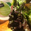 A head of lettuce with a bottle of white vinegar.
