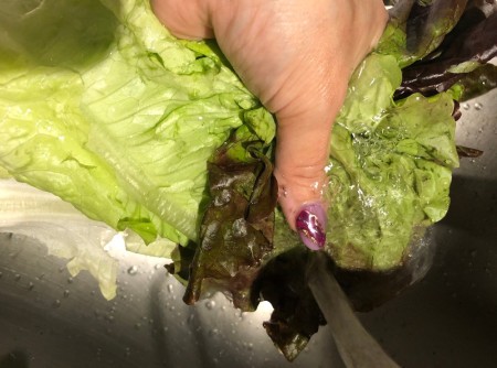 Washing a head of lettuce in homemade wash.