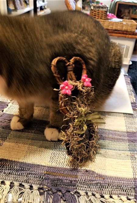Mini Wreath Bunny - bunny wreath leaning on cat