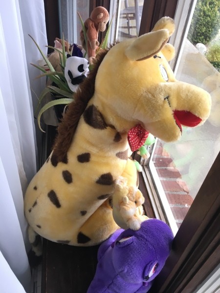 Identifying a Stuffed Giraffe