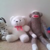 Identifying Stuffed Toys - stuffed toys leaning on a wall