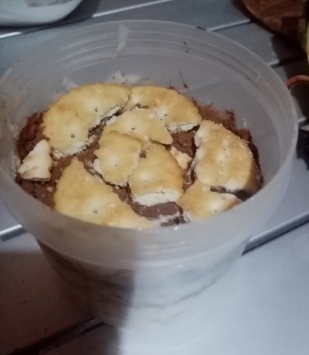 cookies on malt powder