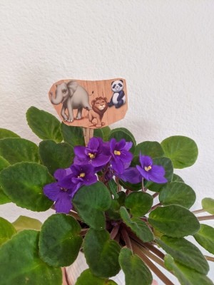 Making Animal Plant Pal Stakes - stake in the leaves of an African violet