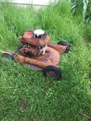 Value of a Vintage Clinton Gas  Mower - old mower in grass