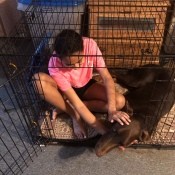 Kylie and Kaiser - girl in crate with dog